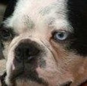 Meet your Posher, Robert